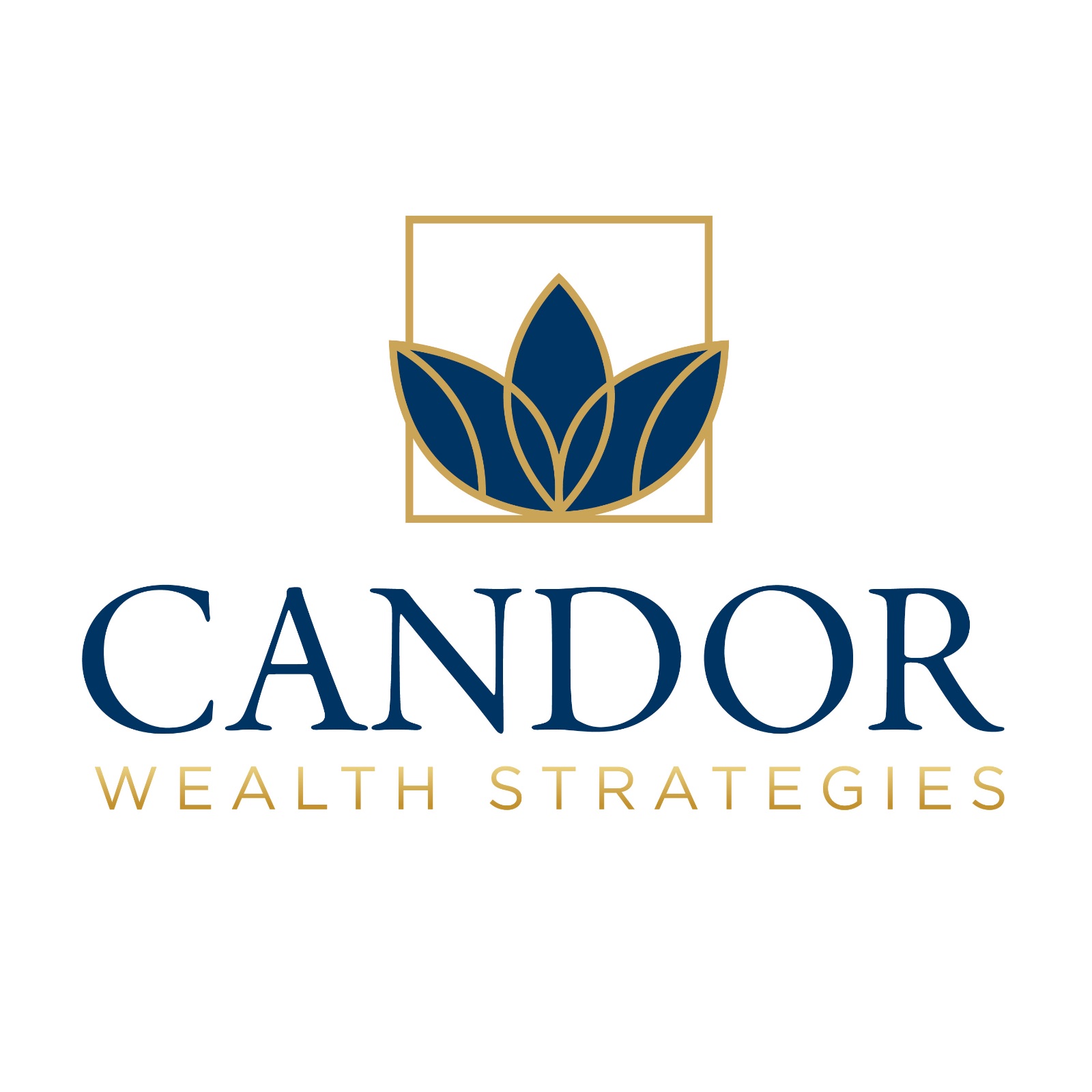 Candor Wealth Strategies logo