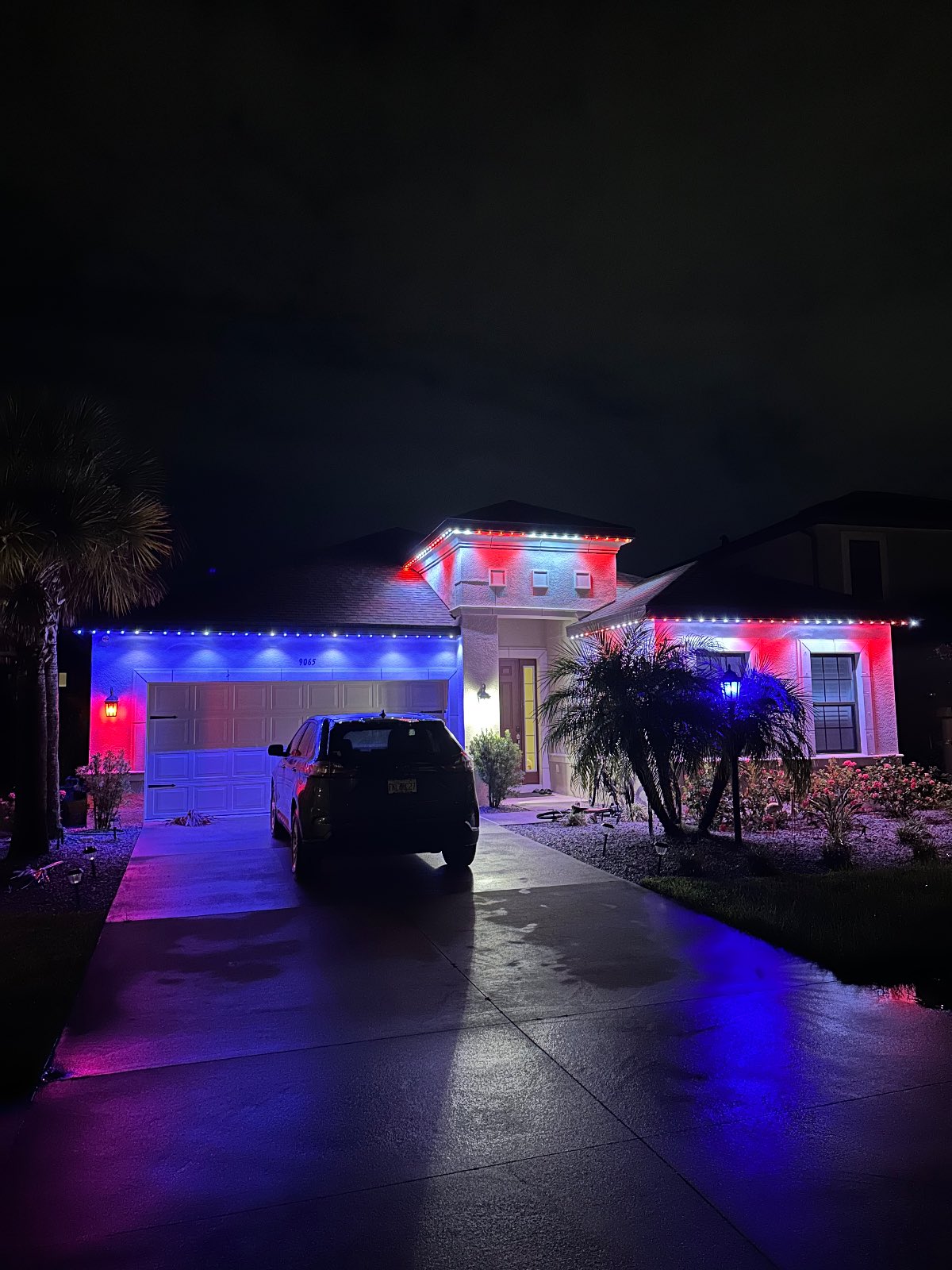 Never Winter Lighting photo 4