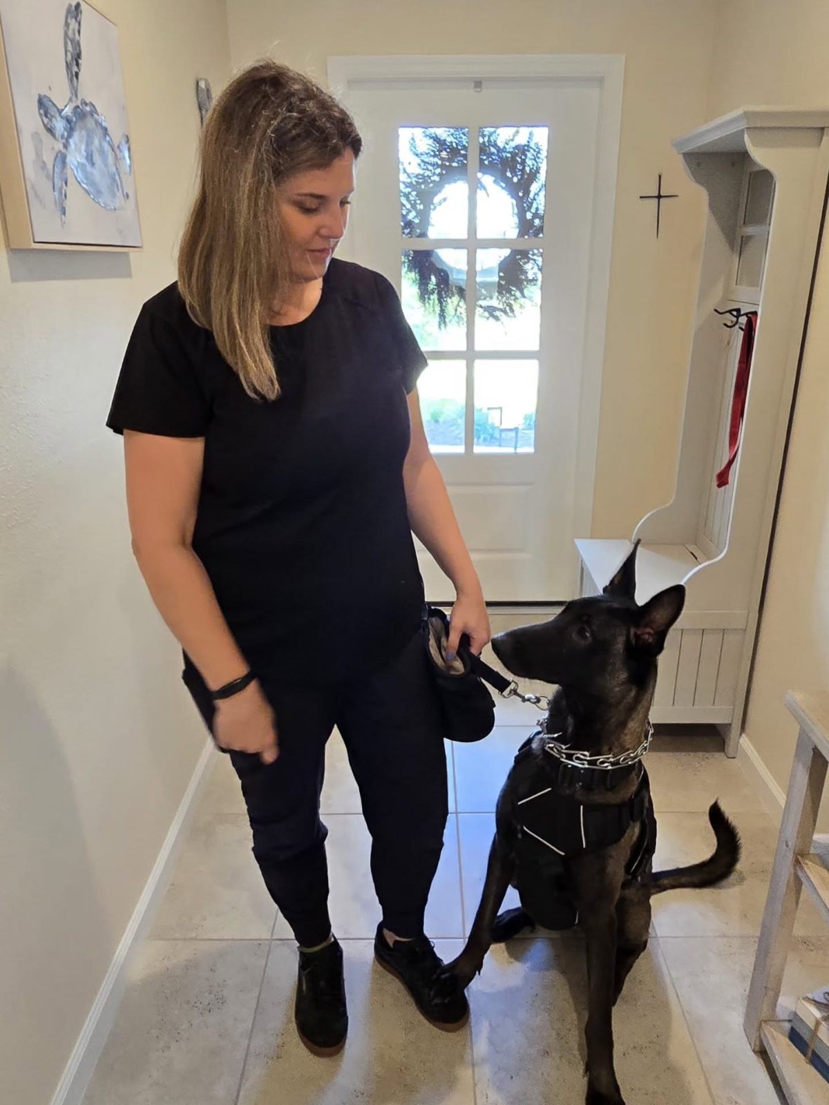 K9 Mold Detect LLC photo 2
